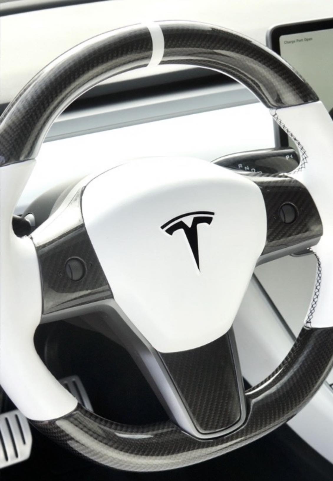 Tesla Model 3/Y: DanTech Custom Style Rat