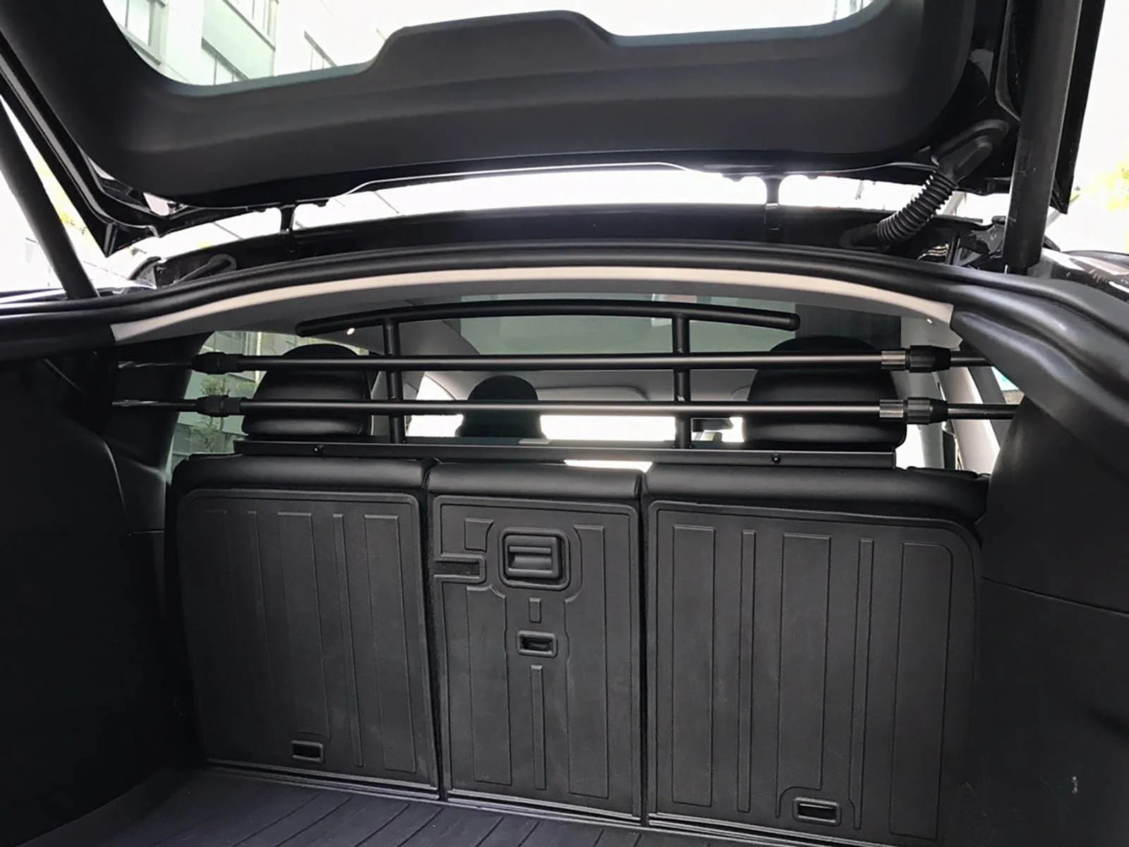 Tesla Model Y: Hundegitter